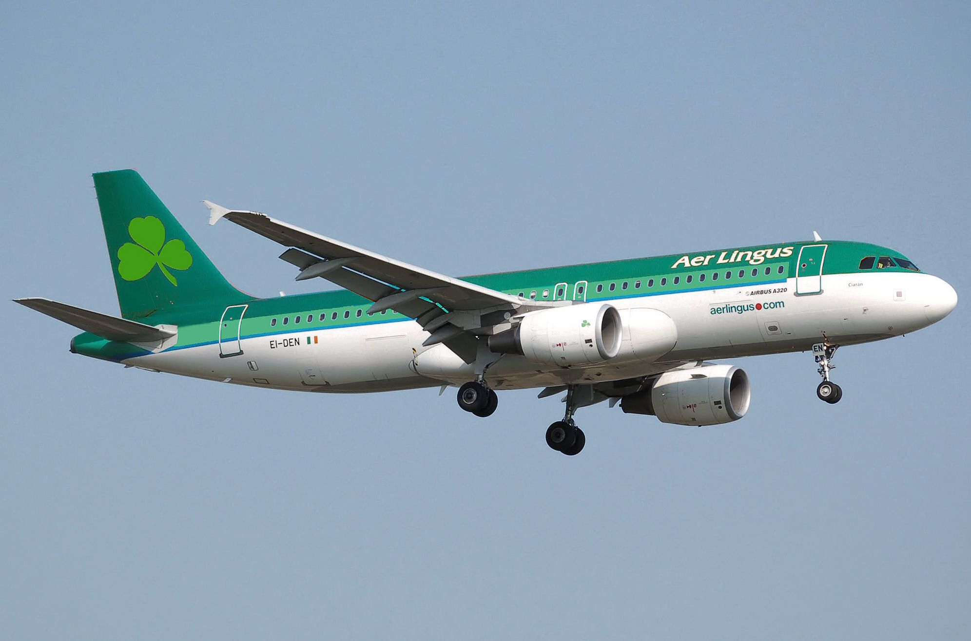 Aer Lingus Ei3390 Was Forced To Return To Dublin After An Animal